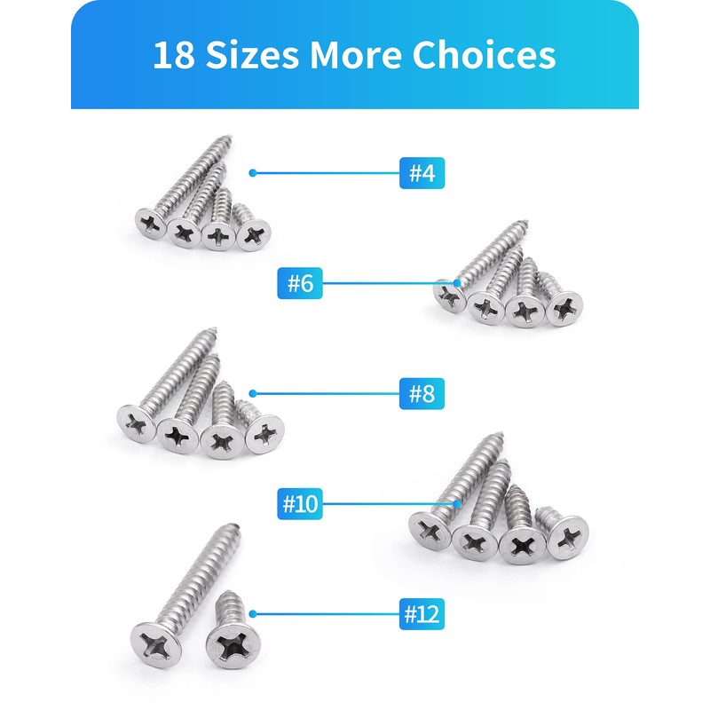 DIVANC 550Pcs 304 Stainless Steel Wood Screws Assortment Kit, Phillips