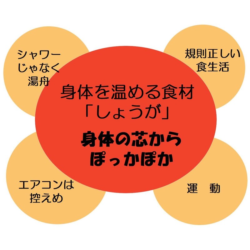 九州産 まるごと しょうがパウダー 粉末 生姜 生姜粉 乾燥 ショウガ ジンジャー 60g