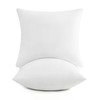 puredown® 16x16 Throw Pillow Inserts, 2 Pack Fluffy Soft Pillow