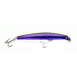 Joebaggs Swarter 6 inch Blurple