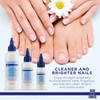 Blossom Blossom + Blue Cross Hydrating, Moisturizing, Strenthening Cuticle Oil