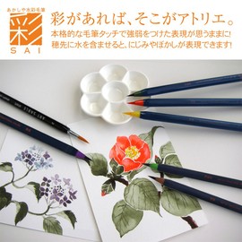 Akashiya Extra Fine Fountain Pen