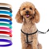 CollarDirect Rolled Leather Dog Harness Small Puppy Step-in Leash Lead