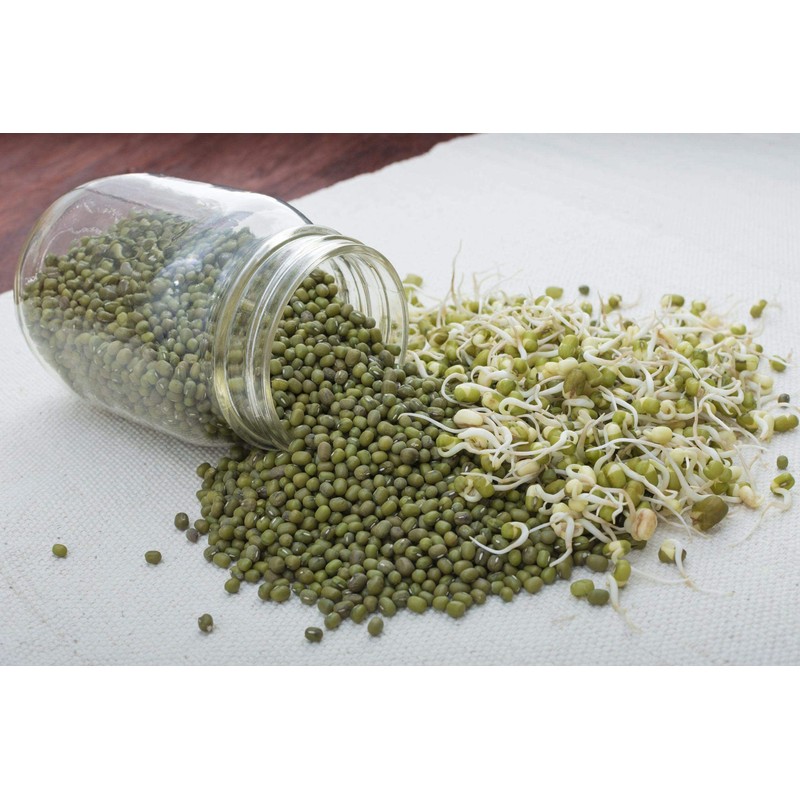 Food to Live Organic Mung Beans, 1 Pound – Non-GMO,