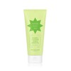 THE FACE SHOP Herb Day 365 Master Blending Foaming Cleanser