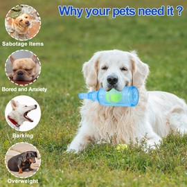 Squeaky Chew Toy for Dogs, TPR Bottle with Tennis Ball Inside (Blue, Large)