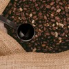 Luckious Coffee Scoop & Tamper - 2 in 1 Multifunctional