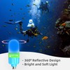 WINDFIRE Scuba Dive Signal Light Night Diving Flashing Marker Light,