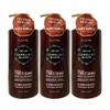 Elastin 엘라스틴 카멜리아블랙 트리트먼트 1L 3개 Elastin Camellia Black Treatment