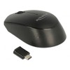 DeLOCK 12526 RF Wireless Optical 1000DPI Ambidextrous Black - mice