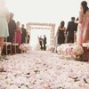 CODE FLORIST 1500 PCS White Silk Rose Petals for Valentine's