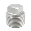 Goldpea 2PCS Stainless Steel 316 Pipe Plug Outer Solid Square