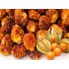 Smarty Stop Dried Berries (Dried Golden Berries, 2 LB)