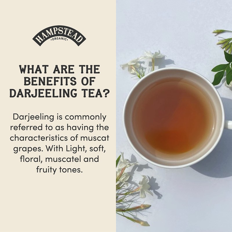 Hampstead Organic Pure Darjeeling 20 Teabags (Pack of 4 Total