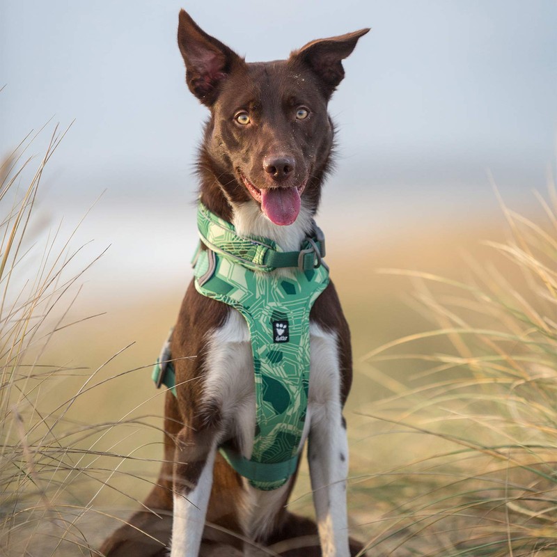 Hurtta Weekend Warrior Park Camo Dog Harness, 39-47"