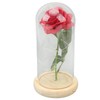Rose in Glass Dome Lucky Beautiful Symbolism Romantic Enchanted Rose