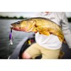 Flicker Shad Jointed Firetail MF Black Cougar 1/3 oz