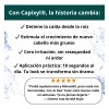 Kit 2 Tónico Capilar Crecimiento Cabello Anticaída Capixyl
