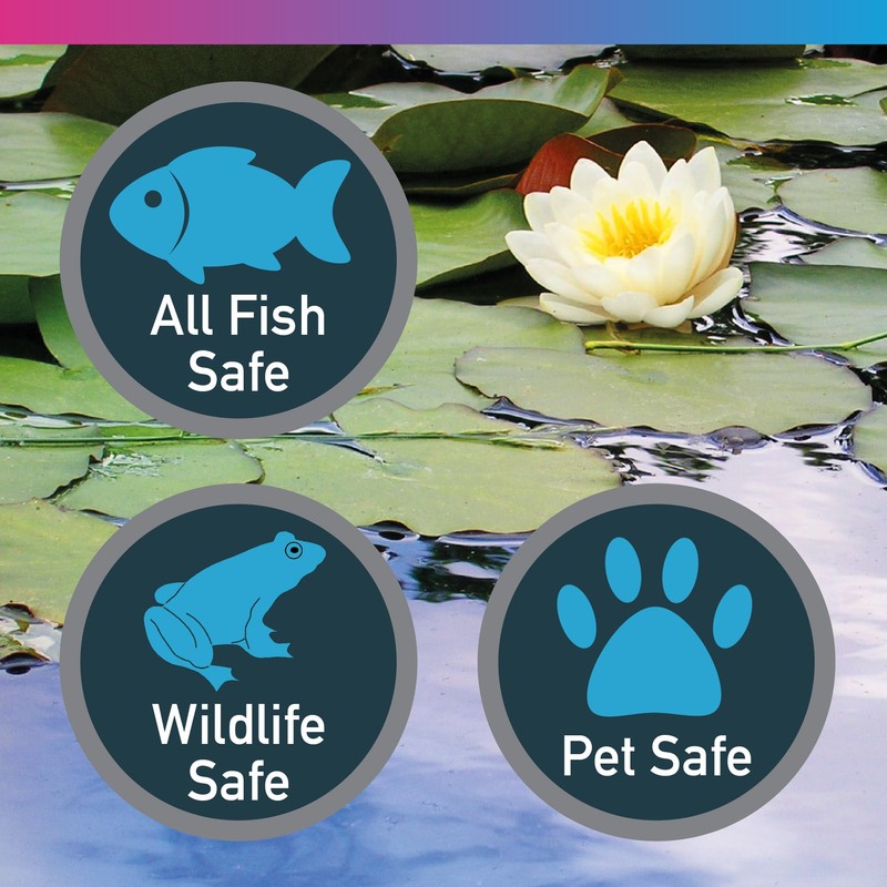 NT Labs Pond Magiclear, Clears Green and Cloudy Water, Control