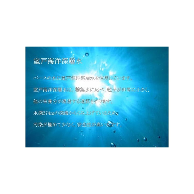 Shining Treatment 16.9 fl oz (500 ml)