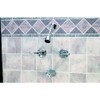 GLOBE UNION F2014501CP-JPA1 2-Metal Lever Handle Chrome Tub/Shower Faucet