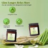 Shrida Naturals Lemongrass Scented Jar Candle- Parent (Lemongrass)