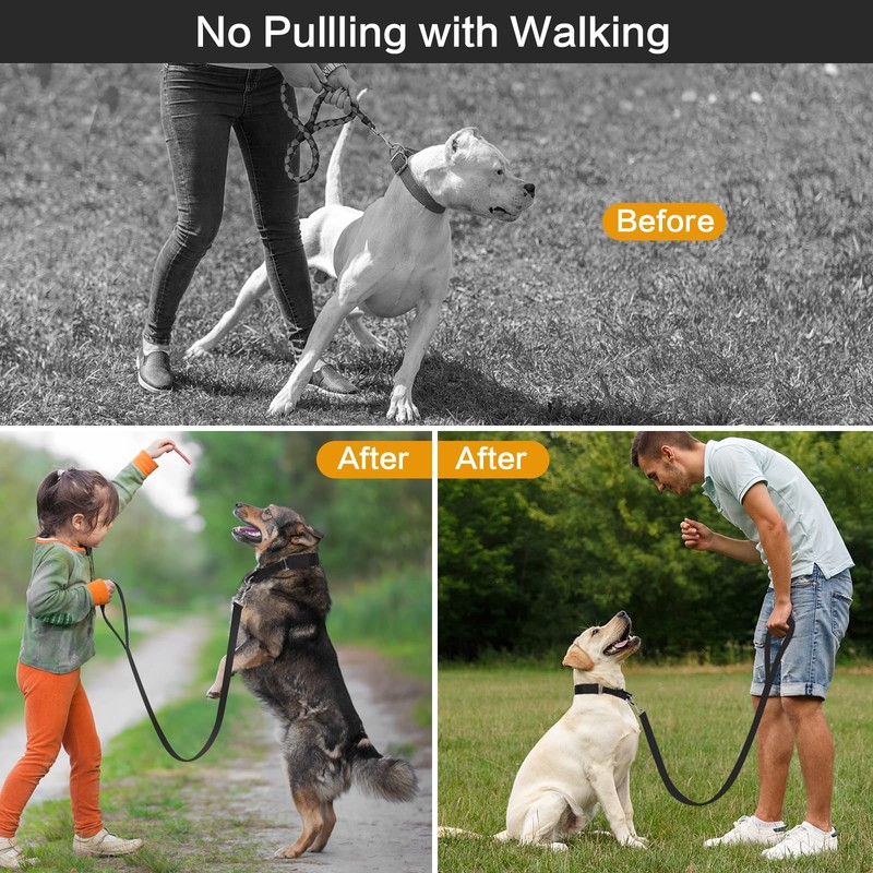 Prong Training Collar with Comfort Tips and Quick Release Snap