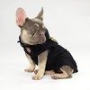 Snoop Doggie Doggs Deluxe Pet Hoodie, Off The Chain, X-Small