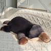 Liraziva Platypus Plush Platypus Stuffed Animal,Soft Platypus Toys Cute Platypus