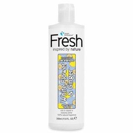 Groom Professional Fresh White Flower & Ginger Hundeshampoo Sensitiv - Natürliches Shampoo für Empfindliche Haut - Regeneriert Beschädigtes Fell - Für Trockenes & Stumpfes Fell - Zitrusduft, 350ml