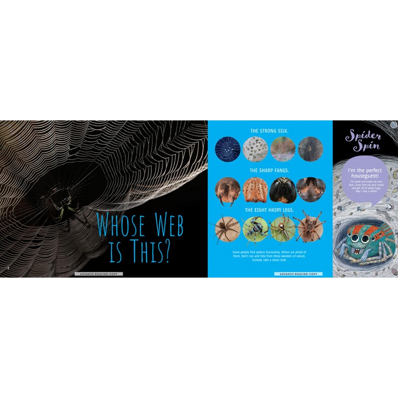 Scurry! The Truth About Spiders| Full of Fun Facts, Photographs,