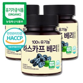 Big Tree Organic Haskap Berry Freeze-Dried Powder 30g x 3 containers Poland / 큰나무 유기농 하스카프 베리 동결건조 분말 30gx3통 폴란드