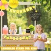 THE KING HIS QUEEN Lemonade Stand Supplies 50 Pcs Lemonade