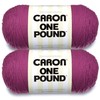 Caron One Pound Purple Yarn - 2 Pack of 454g/16oz