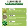Lung Detox Mullein Diffuser Pen | Natural Mullein Leaf |
