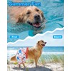 CuteBone Dog Swim Trunks Swimsuit Durable & Comfortable - Quick-Dry,