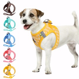 Savlot Dog Harness for Small and Medium Dogs, Anti Pull Puppy Harness with Leash, Step-In Harness for Small Dogs