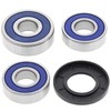 All Balls Racing 25-1422 Wheel Bearing Kit Rear Compatible with/Replacement