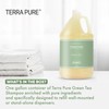 Terra Pure Hotel Shampoo | 1 Gallon | For Hospitality