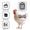 Chicken Saddle for Hens, Comfortable Polyester Hen Apron Waterproof Chicken