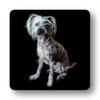Fractal Artworks Chinese Crested Coaster with Fractal Art Design #1-1.