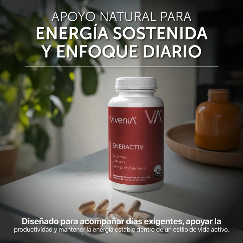 Vivenia Eneractiv Energa Diaria Y Enfoque Mental 60 Cpsulas