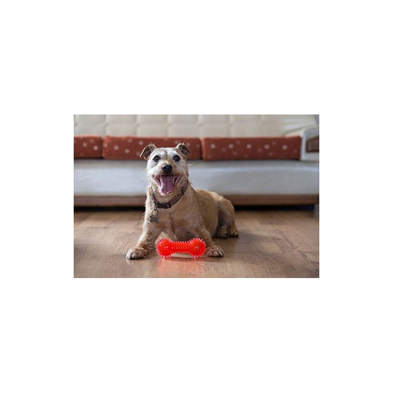 Gor Pets Flex Squeaky Dumbbell Dog Chew Toy Durable 15.5