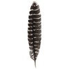 Incense Garden Grade A Barred Turkey Smudging Feather (no Stains,