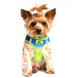 Doggie Design No Choke Dog Harness - Simple Step-in and Go Dog Vest for Small, Medium, and Large Breeds - Breathable Mesh Polyester Pet Harness - Cobalt Sport - M