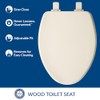 Bemis Ashland Modern Wood Toilet Seat with Decorative Edge, Slow