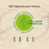 Rhodiola Rosea Raíces Zen Energía Memoria Premium 150 Caps Sabor