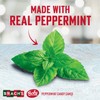 Brachs Peppermint Candy Canes - Individually Wrapped Bulk Christmas Candy