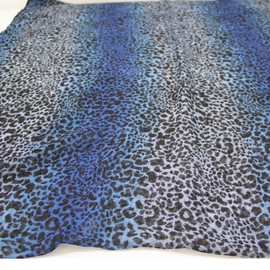 Gloop Women's Scarf with Leo Pattern, Coloured Stripes, Soft Scarves, 00855a20 Blue, Unit size