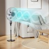 mollie Oscillating Pedestal Fan with Remote Control 12H Timer Portable